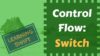 Learning Swift Control FLow Switch